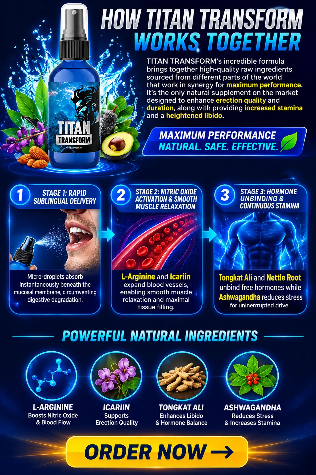 TITAN TRANSFORM formula overview